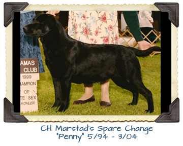 CH Marstad's Spare Change 5/94 - 3/04