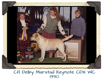 CH Delby Marstad Keynote CDX WC