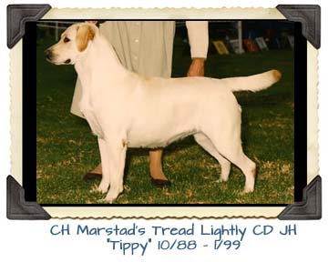 CH Marstad's Tread Lightly CD JH  10/88 - 1/99